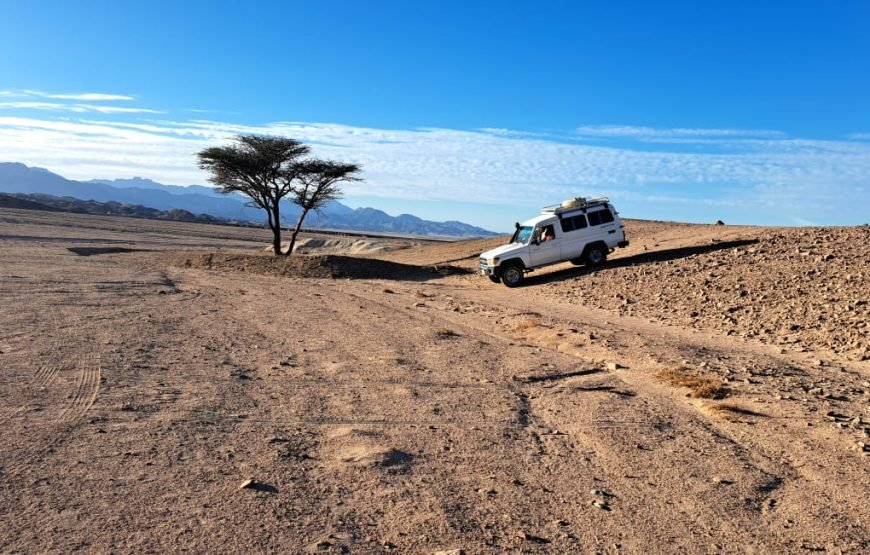 Hurghada Space Observers (Desert Stargazing)