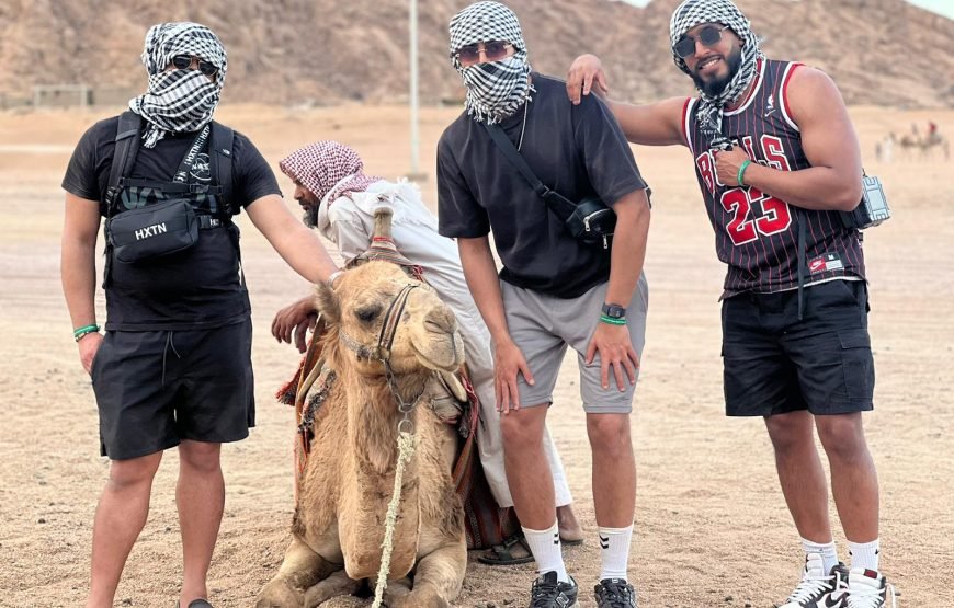 Desert Adventure: Quad Biking, Camel Riding, Bedouin Dinner Show & Stargazing 