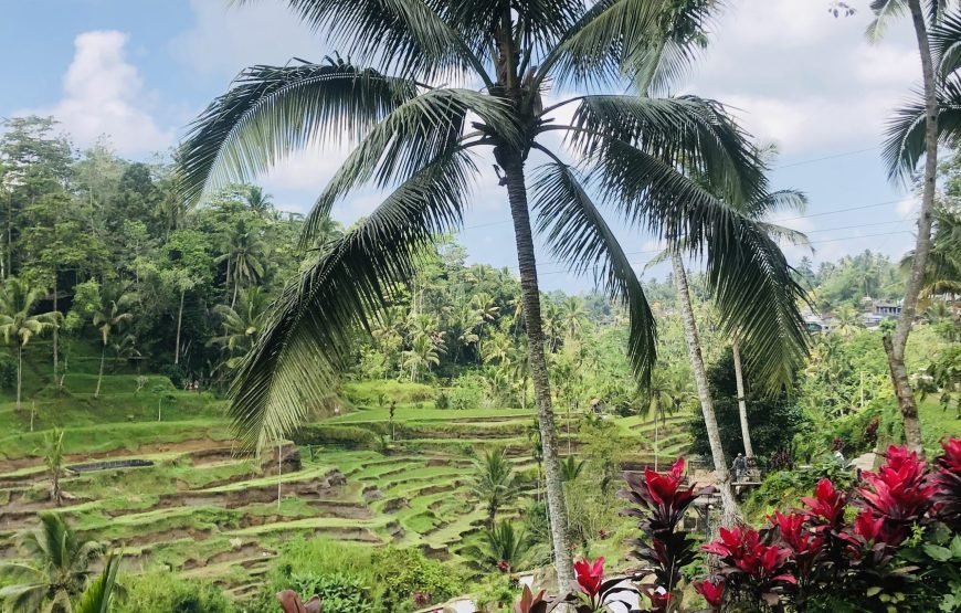 Experience the Enchanting Beauty of Ubud