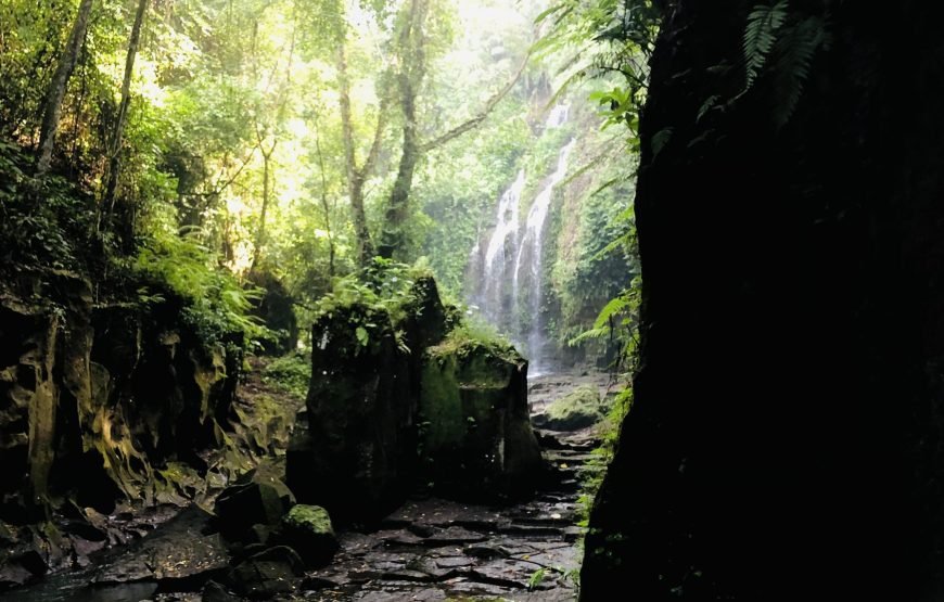 Sacred Besakih Temple & Secret Waterfall Adventure