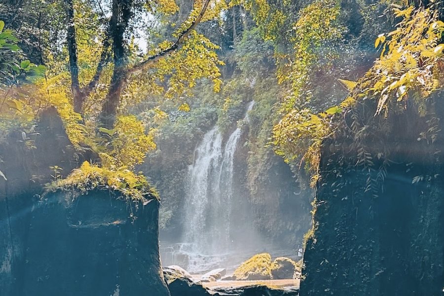 Experience the Enchanting Beauty of Ubud