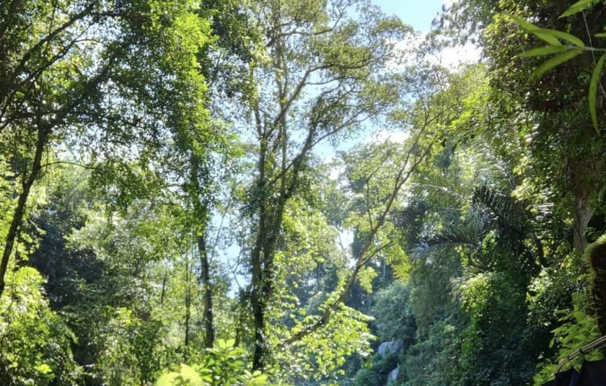 Sacred Besakih Temple & Secret Waterfall Adventure