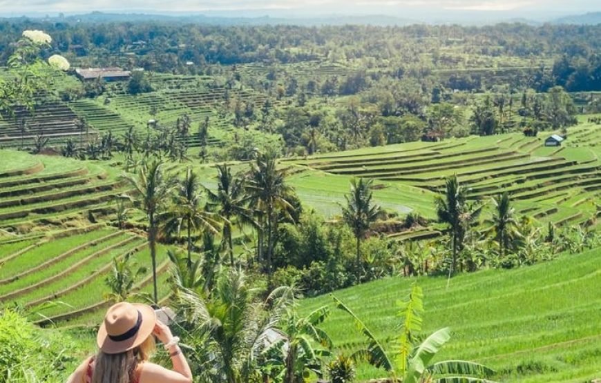 Bali Nature And Historical Tour