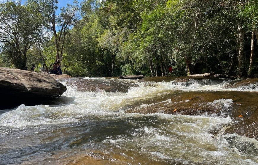 Phnom Kulen Waterfall & 1000 Lingas Shared Tour