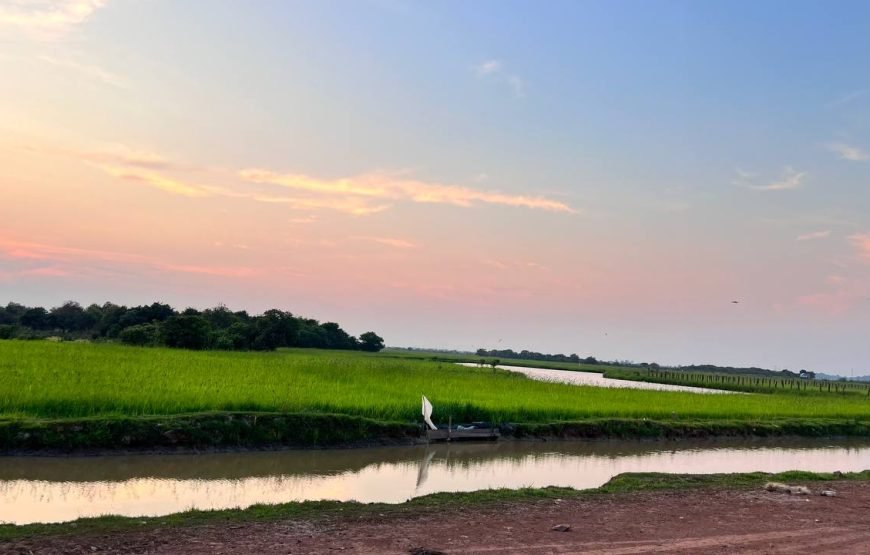 3-Day Angkor Temple & Khmer Culture Experience: Temples, Cooking, and Countryside