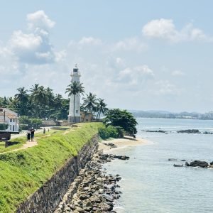 One Day Tour in Galle