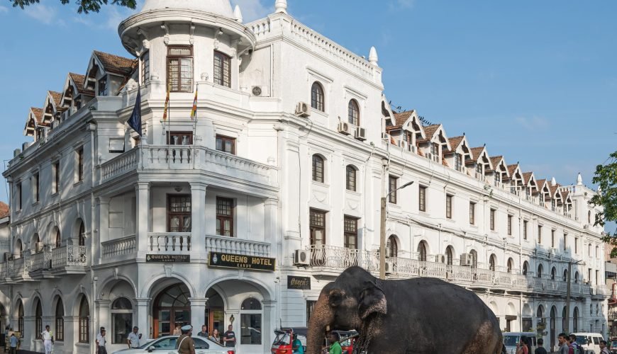 One Day Tour in Kandy