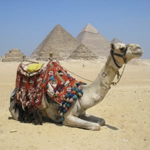 Saqqara & Giza Pyramids Day Tour
