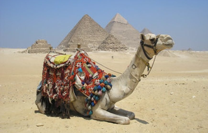 Saqqara & Giza Pyramids Day Tour