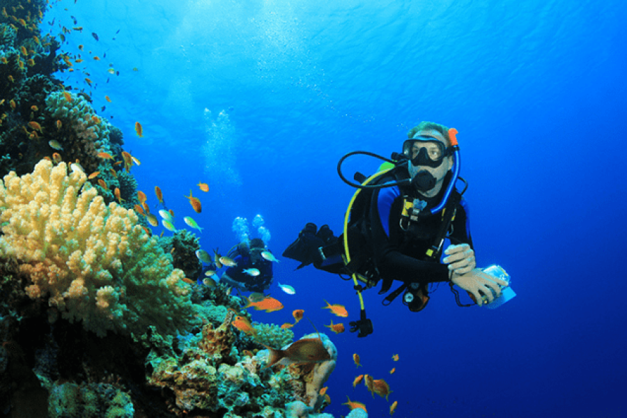 Hurghada – Scuba Diving