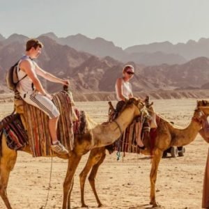 Super Safari (Quad, Jeep, Camel and Buggy Safari with BBQ Dinner)