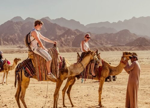 Super Safari (Quad, Jeep, Camel and Buggy Safari with BBQ Dinner)