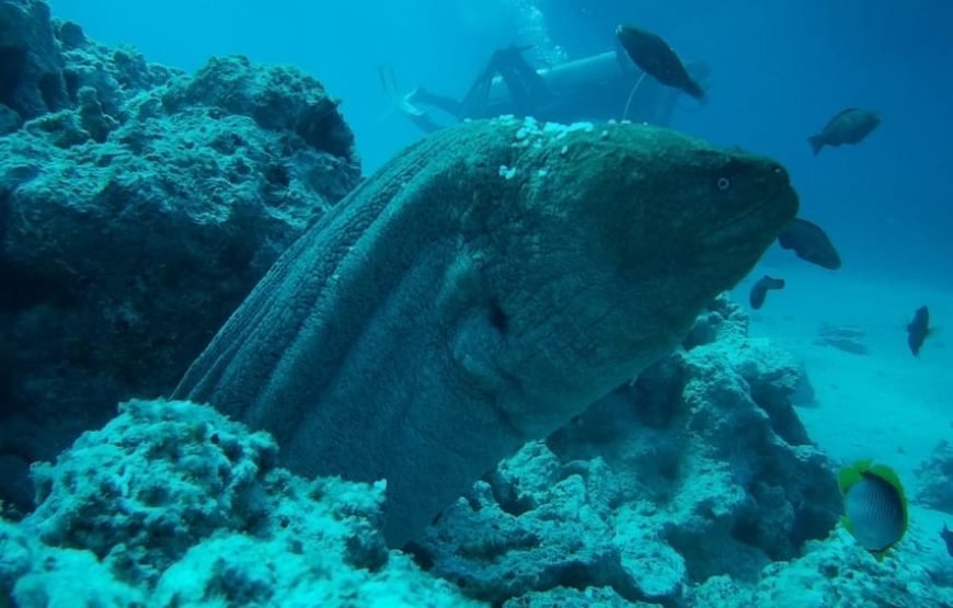 Hurghada – Orange Bay Island