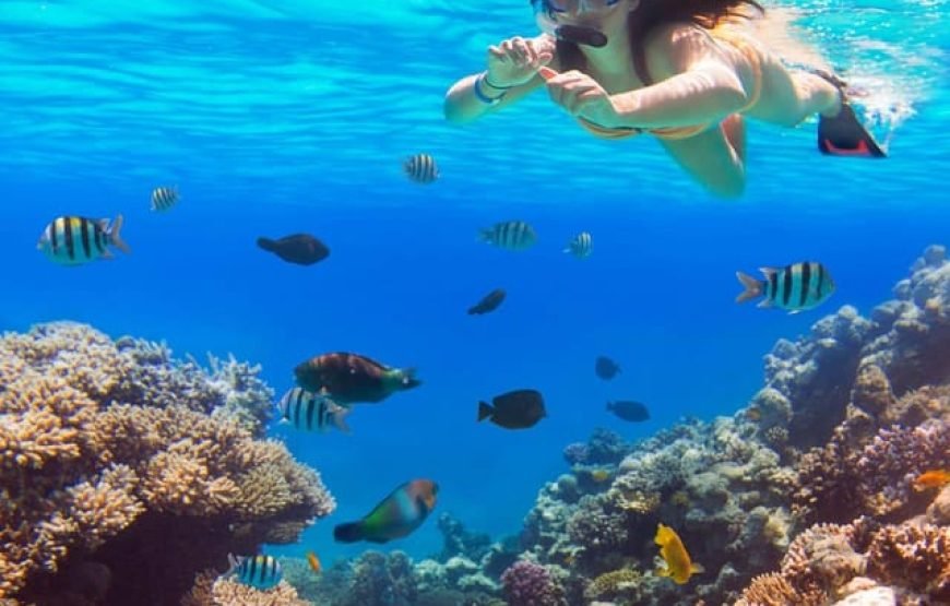 Hurghada – Orange Bay Island