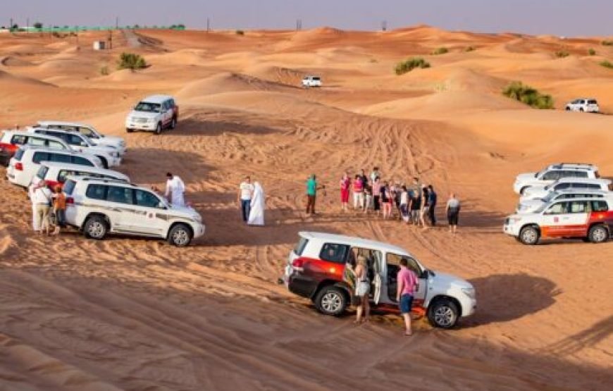 Super Safari (Quad, Jeep, Camel and Buggy Safari with BBQ Dinner)