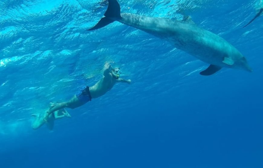 Hurghada – Orange Bay Island