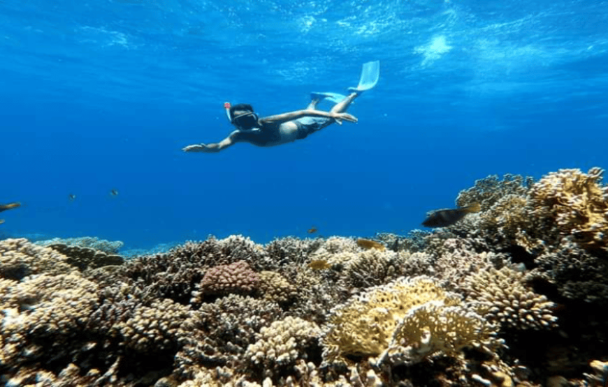 Hurghada – Orange Bay Island