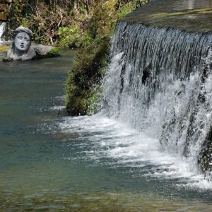 Trip Livadia