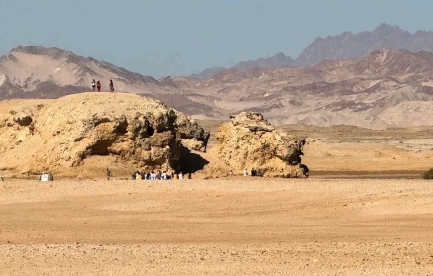 Private Trip to Ras Mohammed National Park