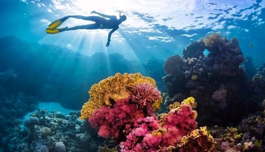 Ras Mohammed and White Island Tour by Boat