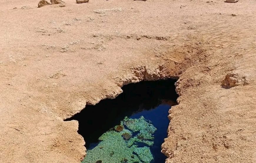 Private Trip to Ras Mohammed National Park