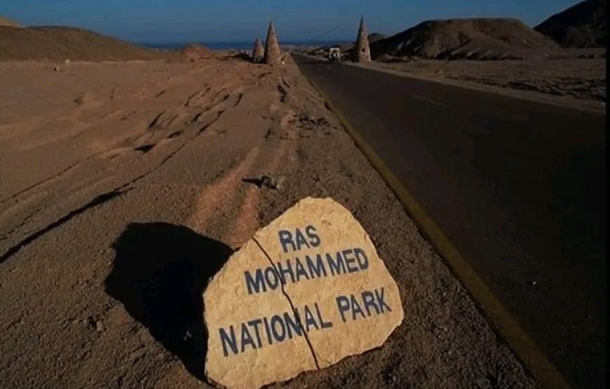 Private Trip to Ras Mohammed National Park