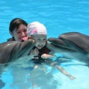 Dolphin Show 🐬🐬