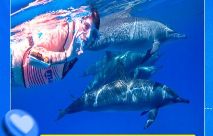 Dolphin House & Water Sports with Snorkeling