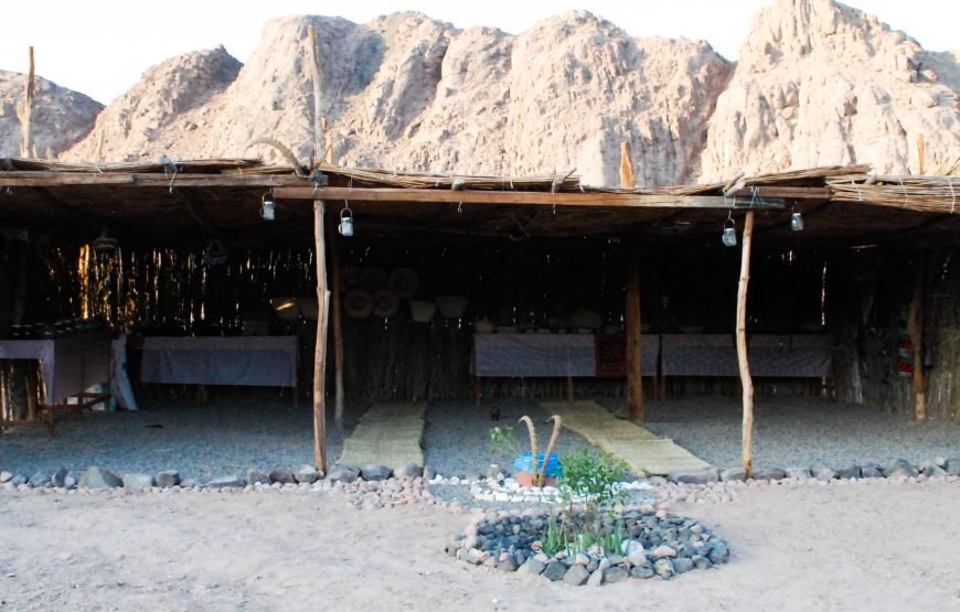 Desert Safari: Quad Bikes, Camels, Bedouin BBQ & Traditional Show