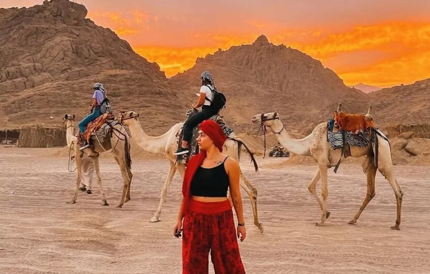 Hurghada ATV Quad, Camel and Spider Car with Dinner Show