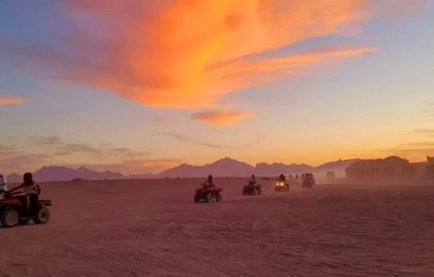 Hurghada ATV Quad, Camel and Spider Car with Dinner Show