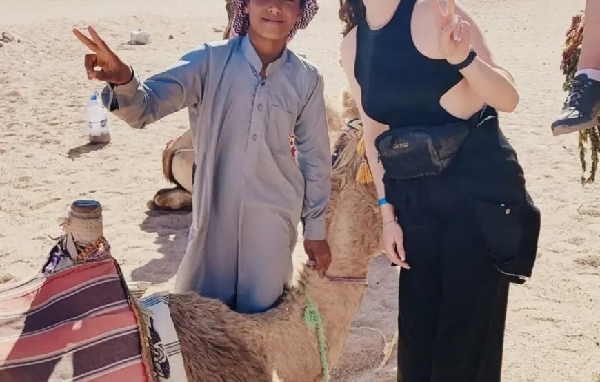 Hurghada ATV Quad, Camel and Spider Car with Dinner Show