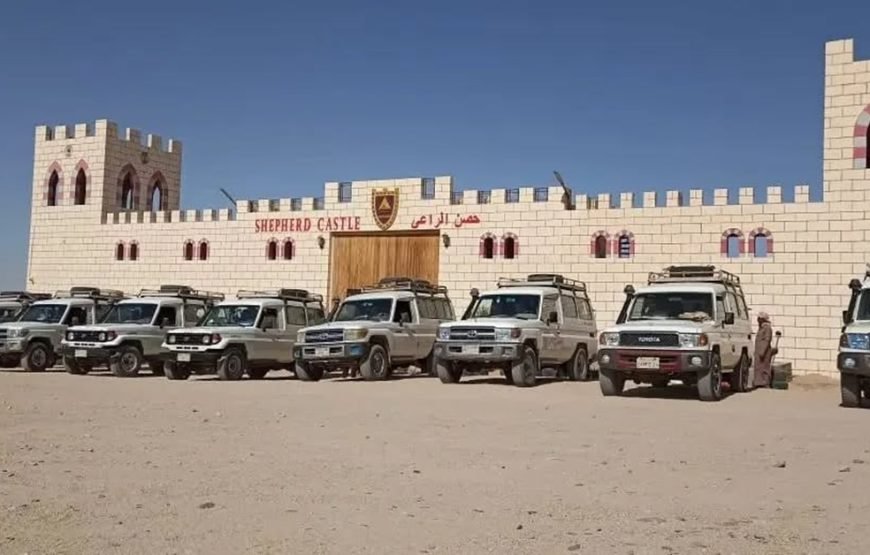 Hurghada ATV Quad, Camel and Spider Car with Dinner Show