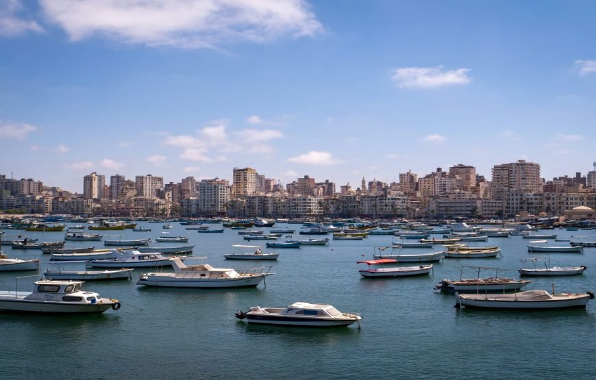 Alexandria City Exploration