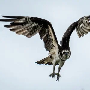 3 Day Amazon Survival Tour