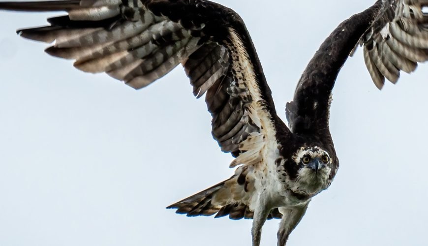 3 Day Amazon Survival Tour