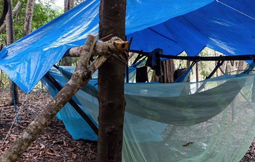 7 Day Amazon Deep Survival Trip To Amanã Lake