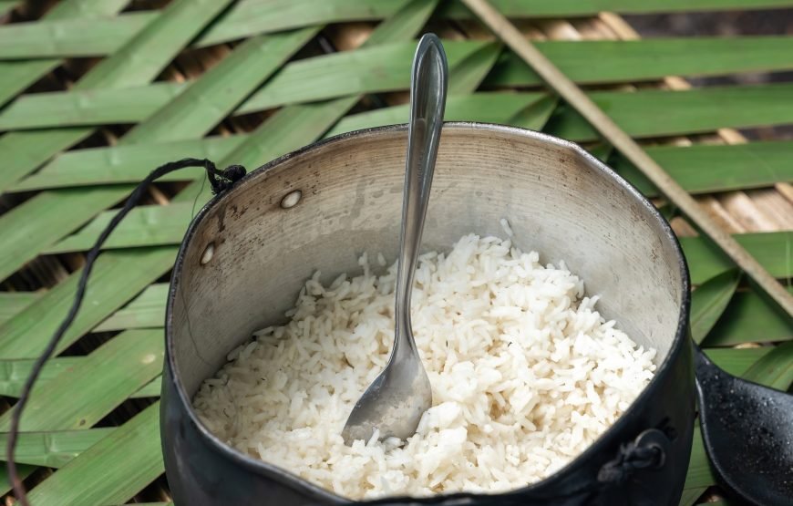 7 Day Amazon Deep Survival Trip To Amanã Lake