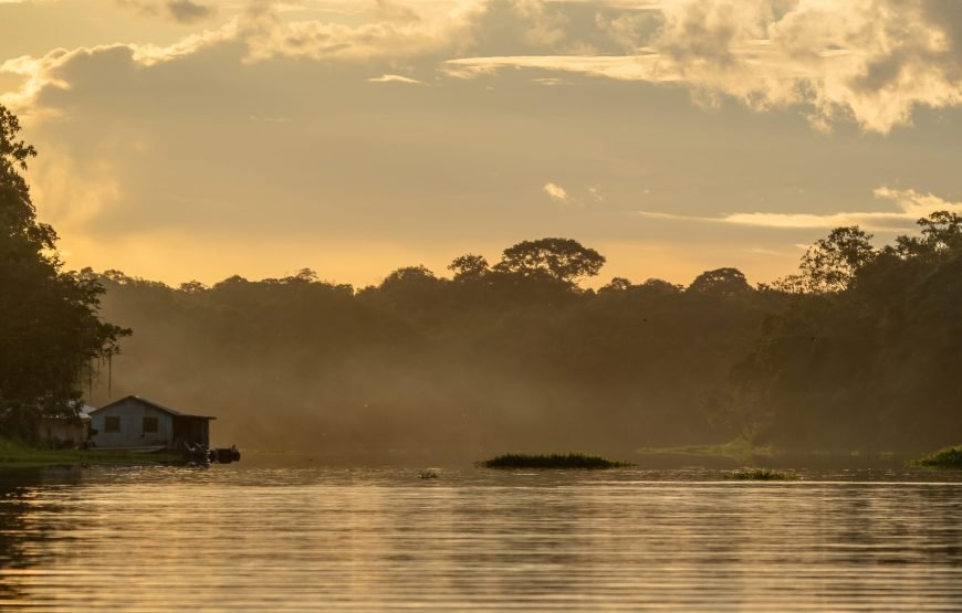 7 Day Amazon Deep Survival Trip To Amanã Lake