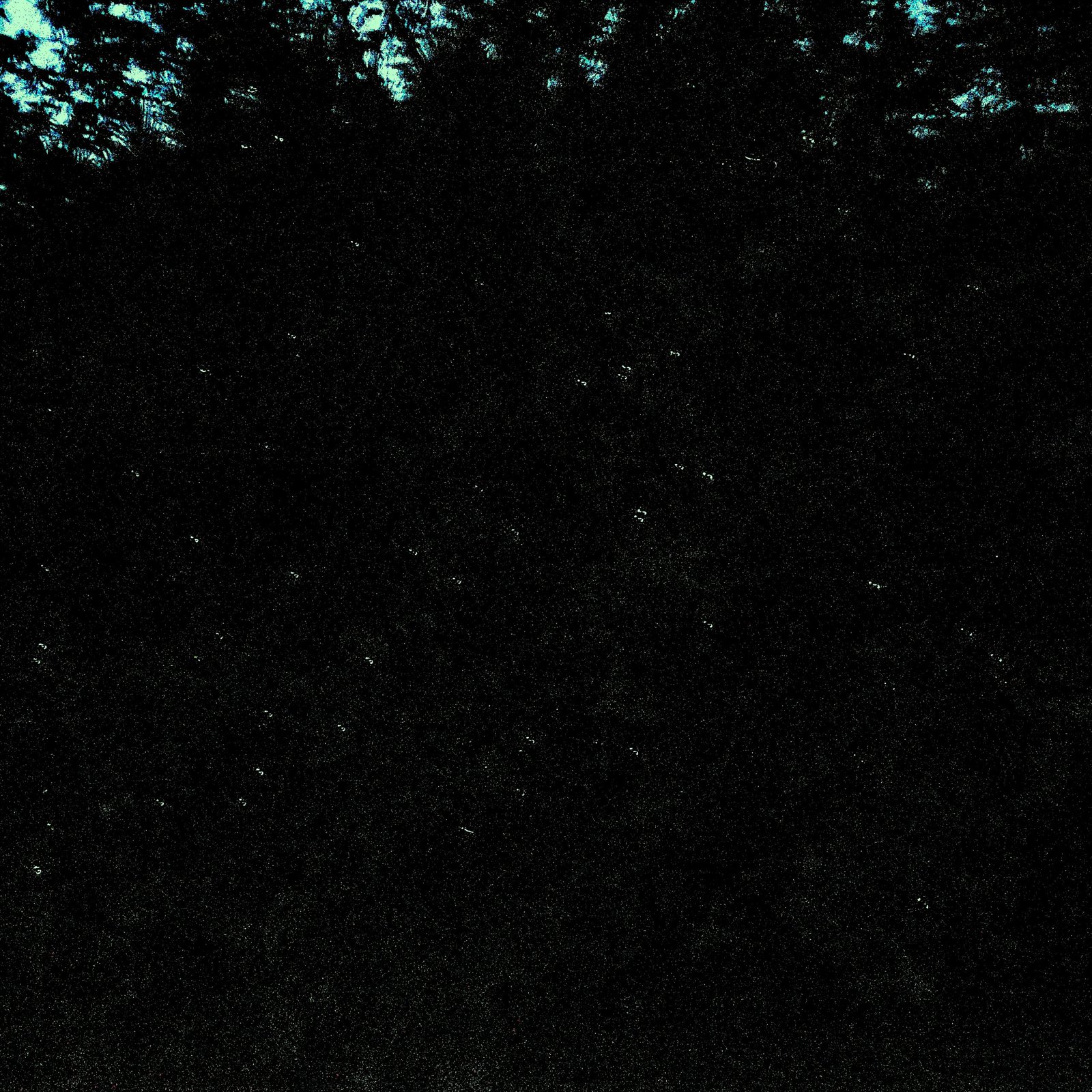 Boat ride at the Firefly Park