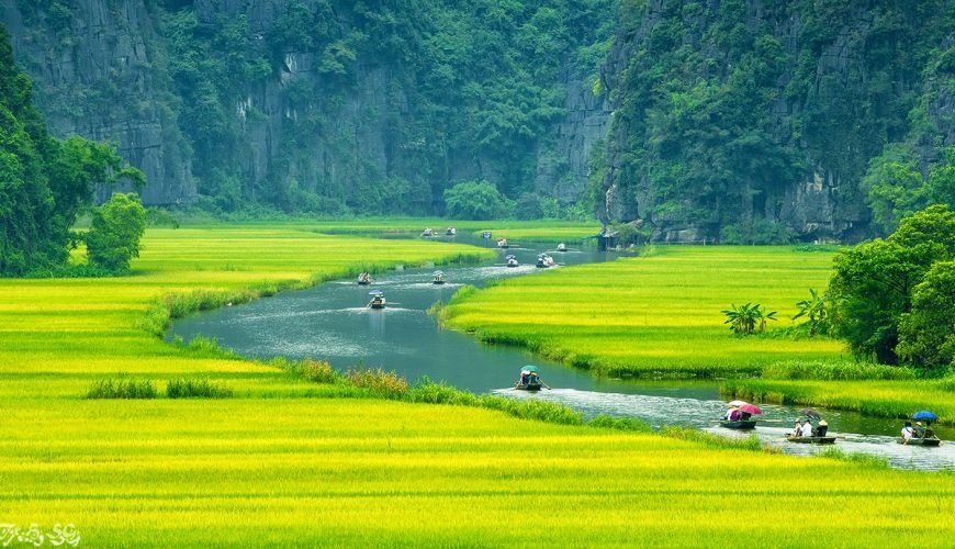 Quang Phu Cau Incense Village & Ninh Binh Highlights – 1 Day Tour