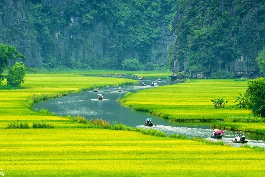 Quang Phu Cau Incense Village & Ninh Binh Highlights – 1 Day Tour