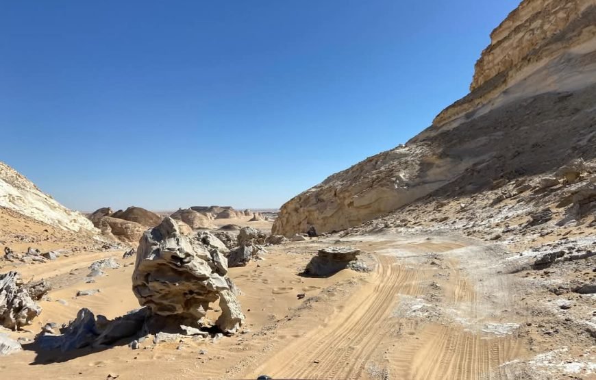 Royal Egypt: A VIP Journey Through Time, Nature & the Nile