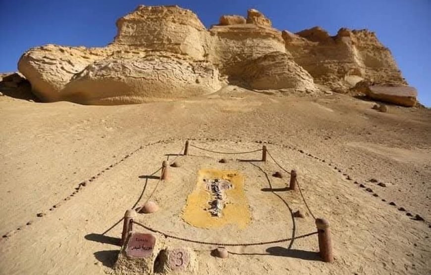 Royal Egypt: A VIP Journey Through Time, Nature & the Nile