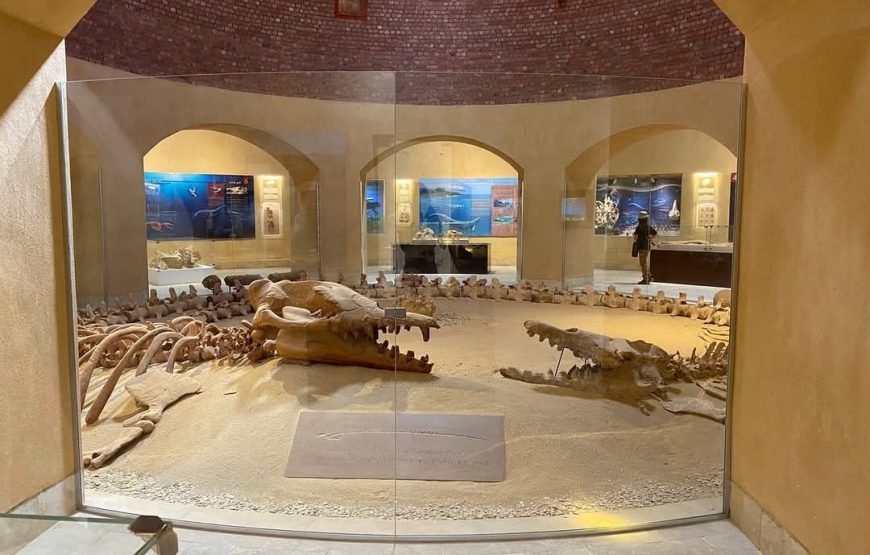 Royal Egypt: A VIP Journey Through Time, Nature & the Nile
