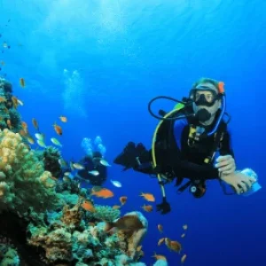 Hurghada – Scuba Diving Trip