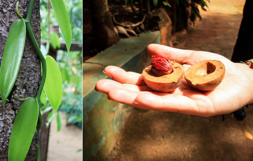 Kandy – Sri Lanka’s Cultural Heart in a Day
