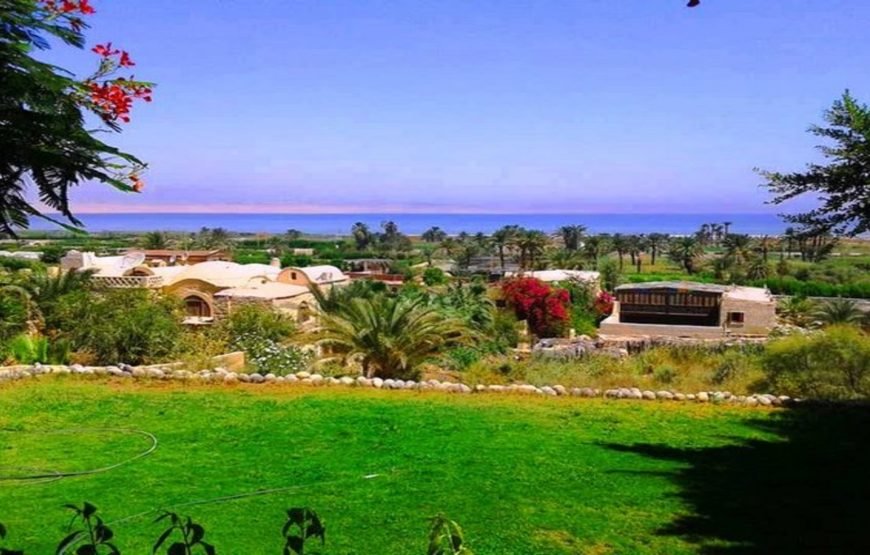 One-Day Adventure to Faiyum