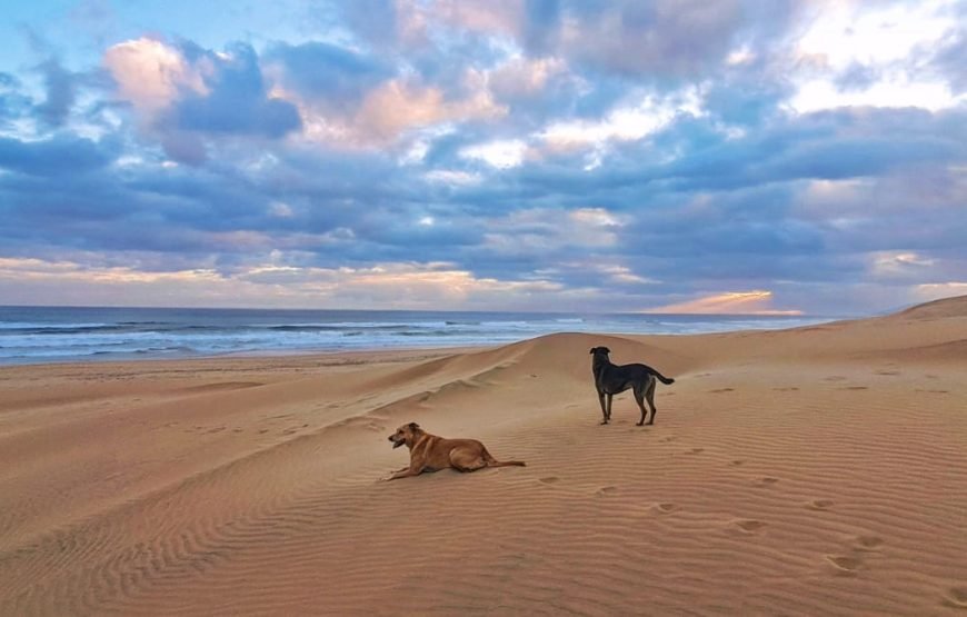 Dream, Drive, Discover The Eastern Cape