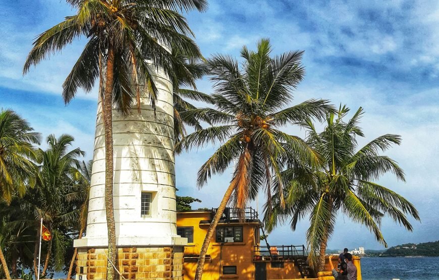 From Colombo To Galle Day Trip Turtles Surf Safari And More